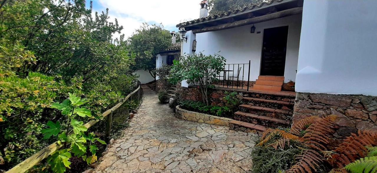 Finca Valbono Apartamentos Rurales Y Hotel Aracena Kültér fotó
