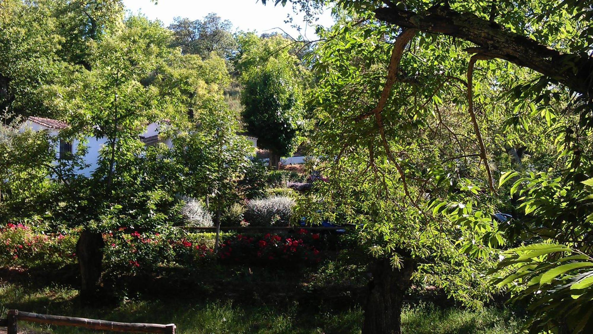 Finca Valbono Apartamentos Rurales Y Hotel Aracena Kültér fotó